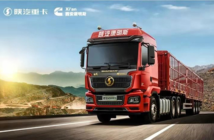 陕西德奥新能源有限公司